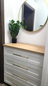 a mirror on top of a dresser with a plant at APARTAMENT JARACZA 28 Nr 3 in Słupsk