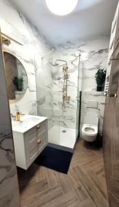 a bathroom with a shower and a toilet and a sink at APARTAMENT JARACZA 28 Nr 3 in Słupsk