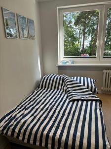 a bed with a striped comforter in a room with a window at A&P Studio in Gdynia