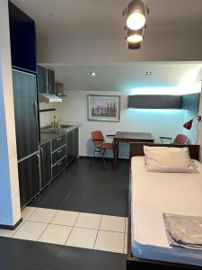 a living room with a kitchen and a dining room at Apartments Iva in Kragujevac