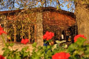 Jardín al aire libre en Guest house Pikec