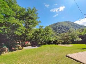 a yard with a view of a mountain at Tarnita Summer House in Someşu Cald
