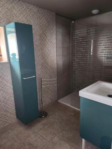 a bathroom with a shower and a sink at AU TEMPS JADIS - Gîte Atypique dans une ancienne Etable Cour privée in Gosnay