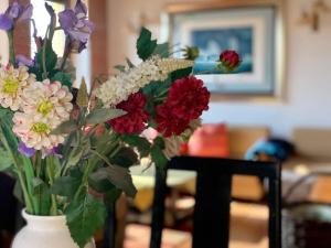 Gallery image of Beautiful house with sunny garden near Bratislava in Plavecký Štvrtok +35 photos