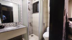 a bathroom with a sink and a toilet and a mirror at Hotel Daffodils in Rawalpindi +60 photos