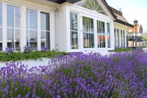 a garden of purple flowers in front of a house at Boutique Hotel Herbergh Amsterdam Airport FREE PARKING in Badhoevedorp