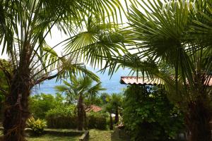 Φωτογραφία από το άλμπουμ του Villa di paese - Splendida vista lago Maggiore σε Oggebio