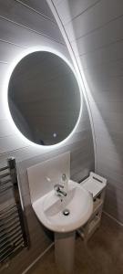 bagno con lavandino e specchio rotondo di Leahys Pod Park a Cork