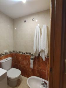 ein Badezimmer mit Toilette und Waschbecken sowie Handtüchern in der Unterkunft Apartamentos D&D VISTAMAR 1 línea in Castellón de la Plana