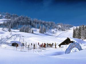 Am Ferienbauernhof Schmiedbauer com Salzkammergut im Winter