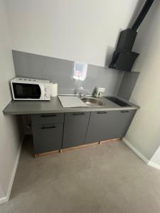 a small kitchen with a sink and a microwave at Mintare in Šveicarija +4 photos
