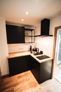 Kuchyň nebo kuchyňský kout v ubytování Ferienwohnung in Lengefeld