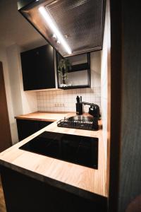 a kitchen with a sink and a stove top at Ferienwohnung in Lengefeld in Lengefeld +7 photos