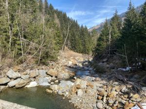 a river with rocks and trees on a mountain at Pepper in Stall