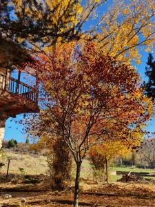 Gallery image of Acebos del Tajo in Peralejos de las Truchas
