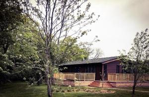 une maison avec une clôture et un arbre devant elle dans l'établissement The Shore, à Eyemouth