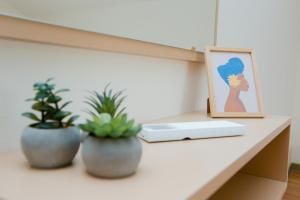 a table with two plants and a picture on it at Urban Escape Guesthouse in Shkodër