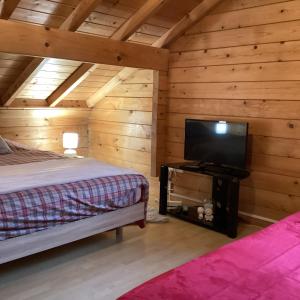a bedroom with a bed and a flat screen tv at Entre Lac et Pistes de Ski in Gérardmer