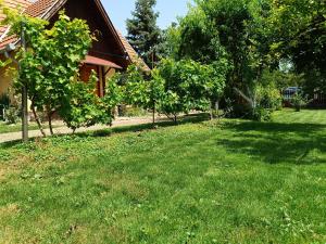 Taman di luar Salaš Striber