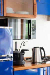 A kitchen or kitchenette at Lake Como Victoria Apartment