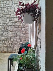 Afbeelding uit fotogalerij van Stone house Joe in Preko