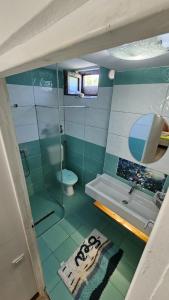 a bathroom with a shower and a toilet and a sink at Pensiunea Darius Costinesti in Costinesti