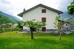 a white house with a tree in the yard at Anna nel verde in Albosaggia