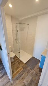 une salle de bain avec douche et toilettes dans l'établissement Magnifique appartement à Bezons, à Bezons