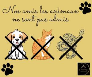 Animal ou animaux domestique(s) séjournant avec des clients dans l'établissement L'Éclat Travot Central Lumineux Vue Sublime