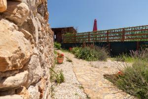 תמונה מהגלריה של Apartments Ruža Dragove Dugi otok בDragove