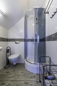 a bathroom with a shower and a toilet and a sink at FRAJDA Domki - Apartamenty 6-osobowe - salon i dwie sypialnie oraz Studia 4-osobowe - pokój z aneksem kuchennym in Rewal +21 photos