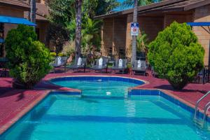 ein Swimmingpool in einem Ferienresort mit Liegestühlen und Bäumen in der Unterkunft Mika Hotel Kabulonga in Lusaka