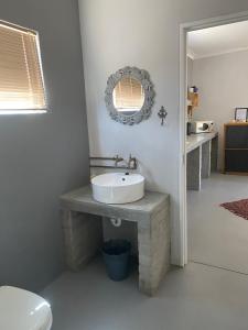 a bathroom with a sink and a toilet at Arendsnest in Springbok