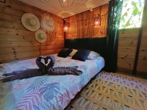 una persona acostada en una cama en una habitación en Les cabanes éco-responsables, en Saint-Louis 50 fotos más