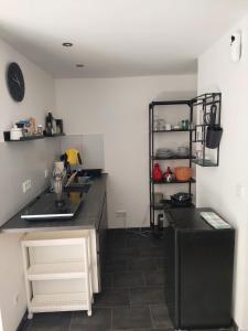 een keuken met een aanrecht, een wastafel en een plank bij City-Apartment in Dortmund