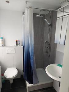 een badkamer met een douche, een toilet en een wastafel bij City-Apartment in Dortmund