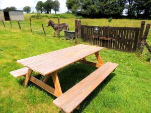 a wooden picnic table in a field with a donkey at La Séliniére ! in Champ-du-Boult