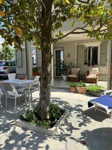 Billede fra billedgalleriet på Pesciolino Rosso i Cesenatico + 14 billeder