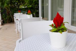 Foto da galeria de Hotel Negresco em Riccione