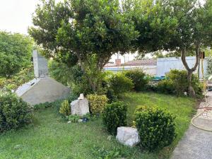 Ein Garten an der Unterkunft Villa Beba - Apartments
