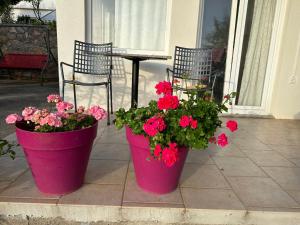 Ein Garten an der Unterkunft Villa Beba - Apartments