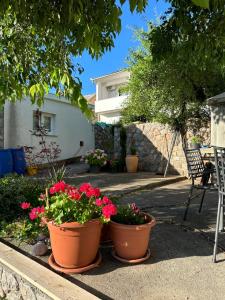Ein Garten an der Unterkunft Villa Beba - Apartments