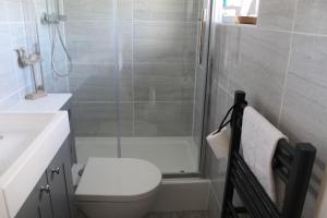 a bathroom with a shower and a toilet and a sink at Apartment 19 in Downderry +16 photos