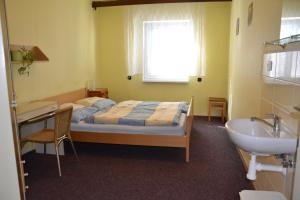 ein Schlafzimmer mit einem Bett, einem Waschbecken und einem Fenster in der Unterkunft Hostel Fortuna in Špindlerův Mlýn