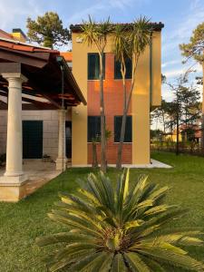 a palm tree in front of a house at À Beira Lago - Casa de férias in Mira