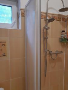 a shower with a glass door in a bathroom at U paní malířky in Valtice