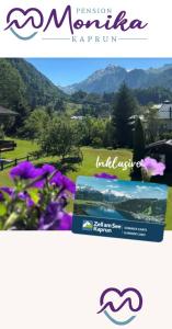 Paesaggio naturale nelle vicinanze dell'affittacamere