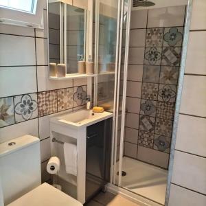 a bathroom with a shower and a sink and a mirror at Maison charmante à Saint-Satur avec jardin et terrasse in Saint-Satur