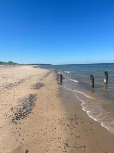 a beach with wooden posts in the water at BrightNest in Ventspils