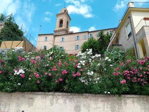 a bunch of flowers in front of a building with a clock tower at B&B il Girasole in Corridonia